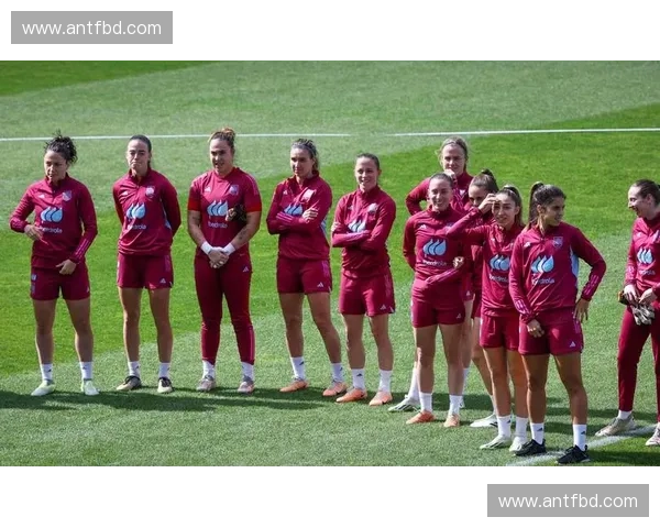 西班牙国家足球队：辉煌历史与未来征程的完美交织